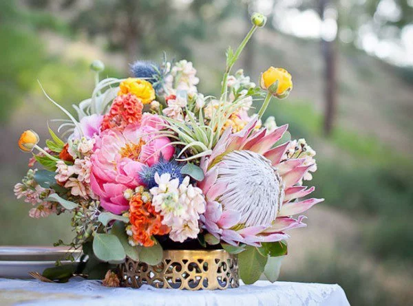 Protea Hochzeitsblume