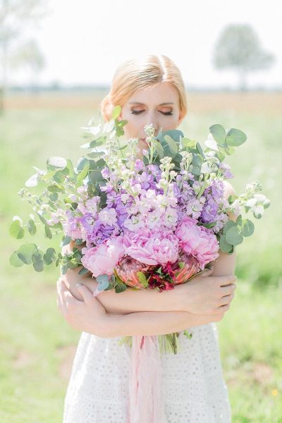 Blume des Monats Juni: Levkoje