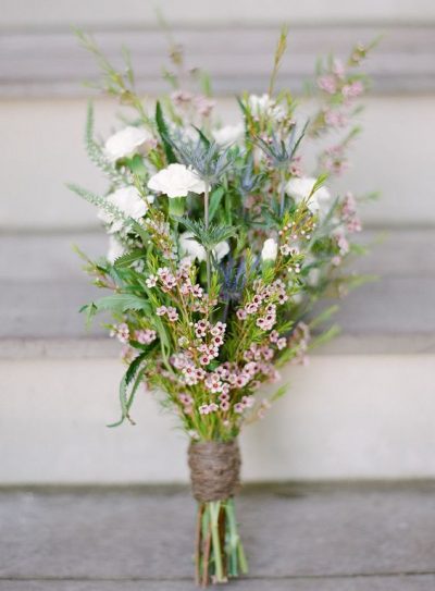Waxflower – das neue Schleierkraut