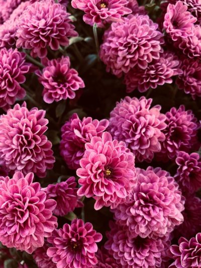 Flowerlove: Brautstrauß für den Herbst