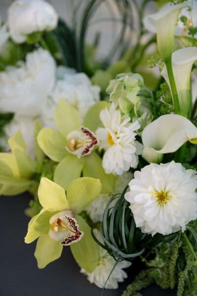 Yes, again: Vow Renewal in Puglia